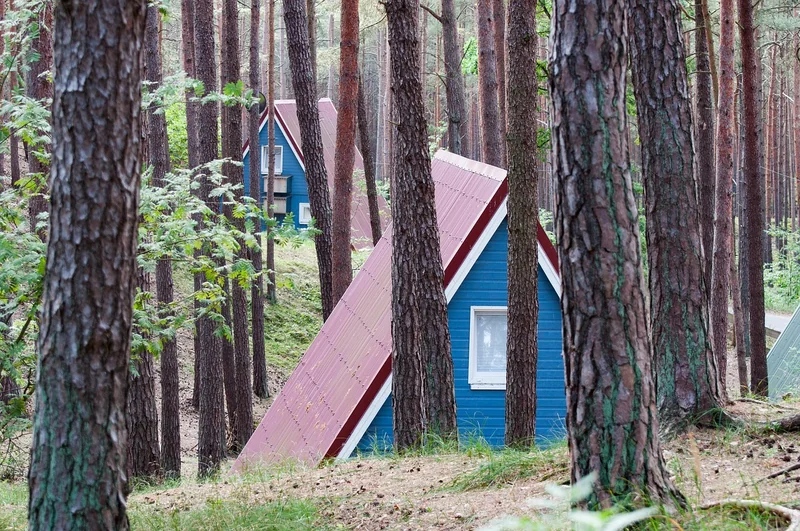Quel type de bois pour quel usage ?