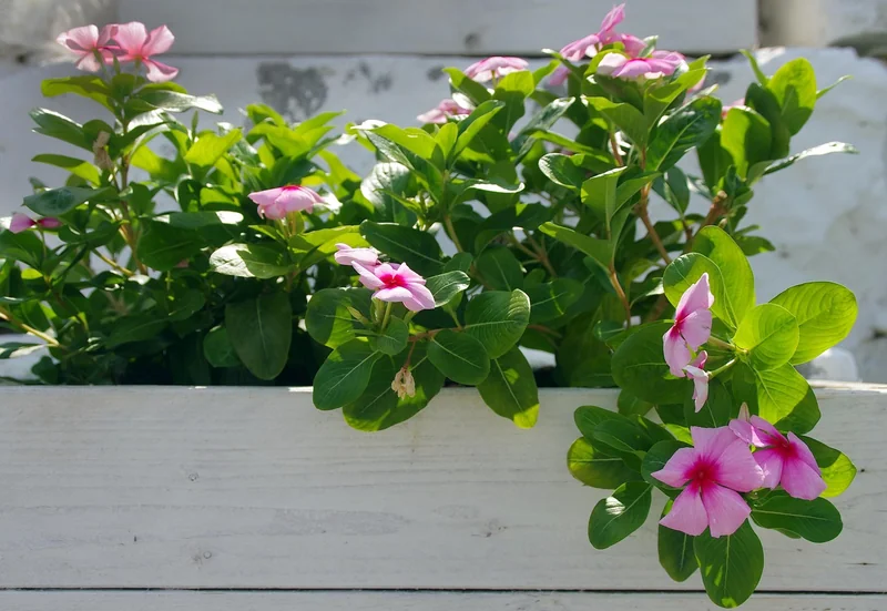 Projet n°2 : la jardinière surélevée pour balcons et petits jardins